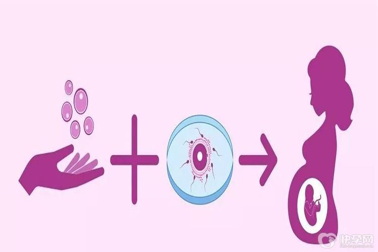 借卵试管代怀违法吗(借卵试管代怀：法律底线何在？)