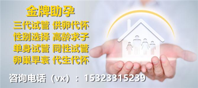 借卵试管代怀合法公司(借卵试管代怀合法公司：助您实现梦想)