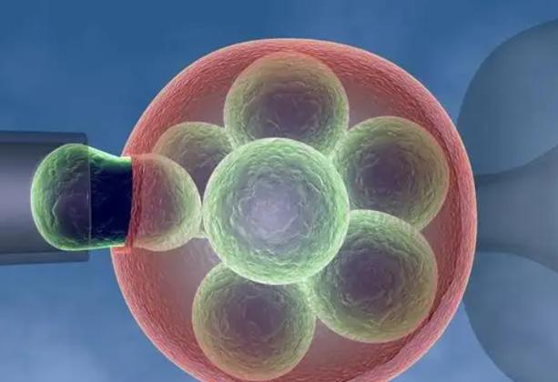 人工借卵试管代怀-人工借卵试管代怀：助力生育的新选择