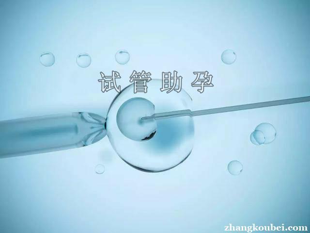 借卵做试管医院_借卵做试管医院:助您实现生育梦想