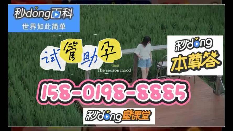 借卵试管代怀微信-微信借卵试管代怀,助您实现梦想