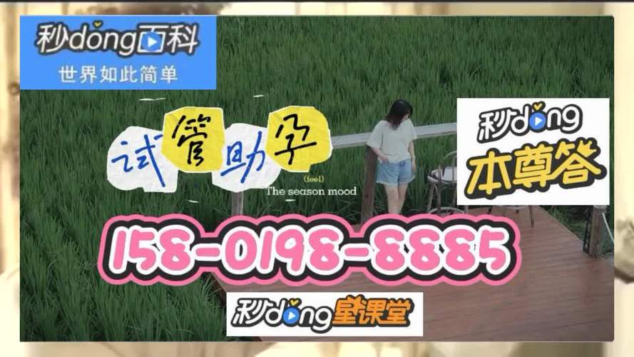 借卵试管代怀公司(借卵试管代怀公司:助您实现梦想)
