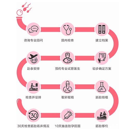 医院借卵试管代怀正规机构(医院借卵试管代怀正规机构服务指南)