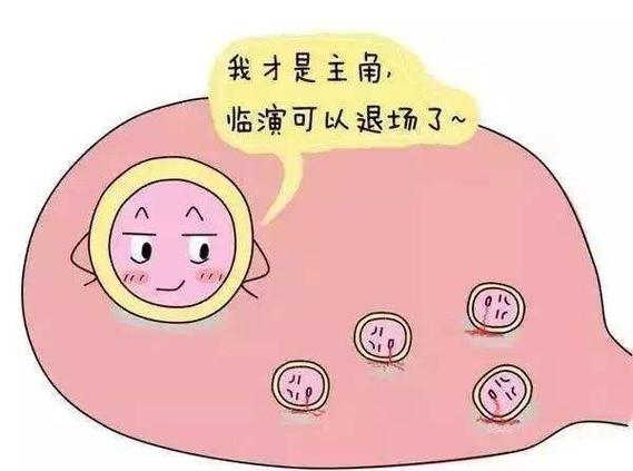 医院借卵试管代怀哪家好(医院借卵试管代怀哪家好,选择哪家医院更放心?)