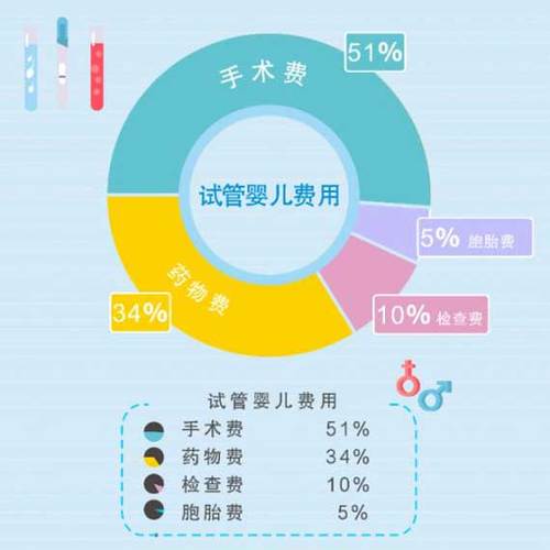 医院借卵试管代怀咨询-医院借卵试管代怀咨询服务指南