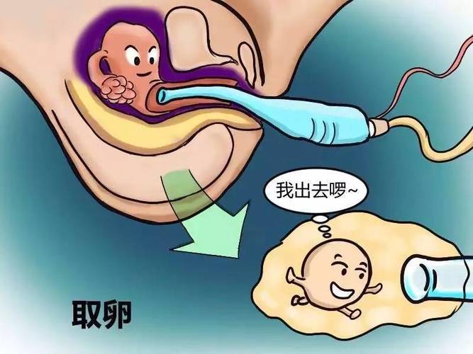 借卵试管代怀双胞胎零风险-借卵试管代怀双胞胎零风险:安全可靠的选择