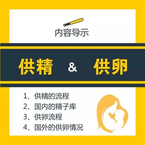 国内供卵代生子【国内供卵代生子:伦理、法律与实践】