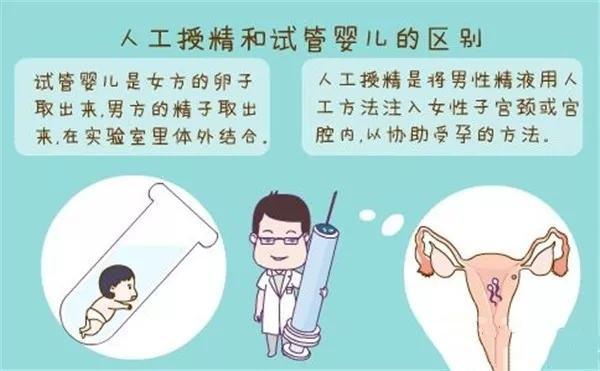 借卵试管代怀信息(借卵试管代怀:一种新的生育选择方式)
