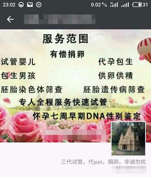 国内供卵试管代怀合同【国内供卵试管代怀合同解析】