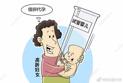 借卵生子是什么意思_借卵生子的含义是什么?