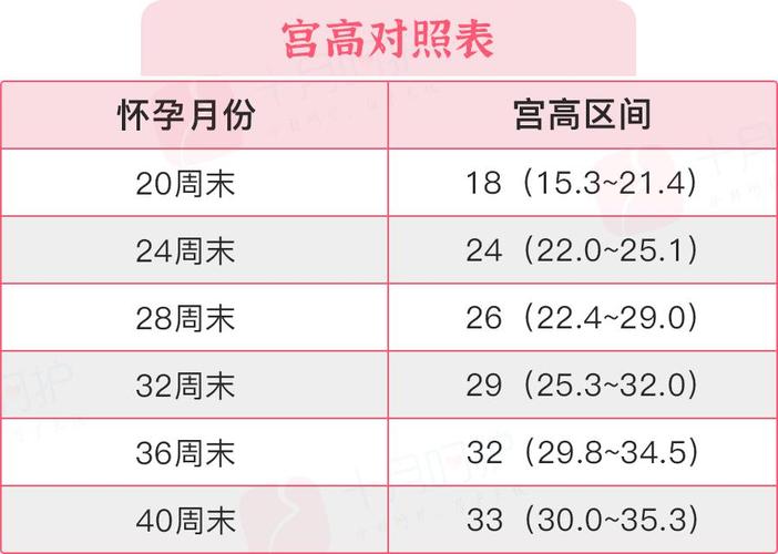 做借卵试管代怀女孩费用【借卵试管代怀女孩费用一览】