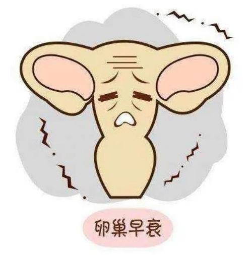 卵巢早衰可以借卵试管吗_卵巢早衰患者是否适合借卵试管生育?